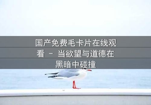 国产免费毛卡片在线观看 - 当欲望与道德在黑暗中碰撞